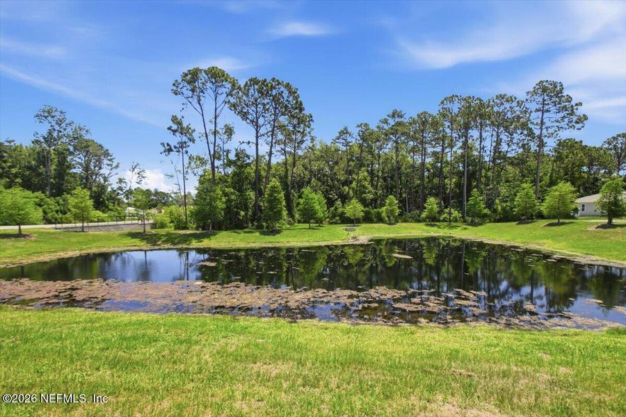 Natural landscape and outdoor views near Ravenswood Village in St. Augustine (Image 24). Natural landscape and outdoor views near Ravenswood Village in St. Augustine (Image 24).