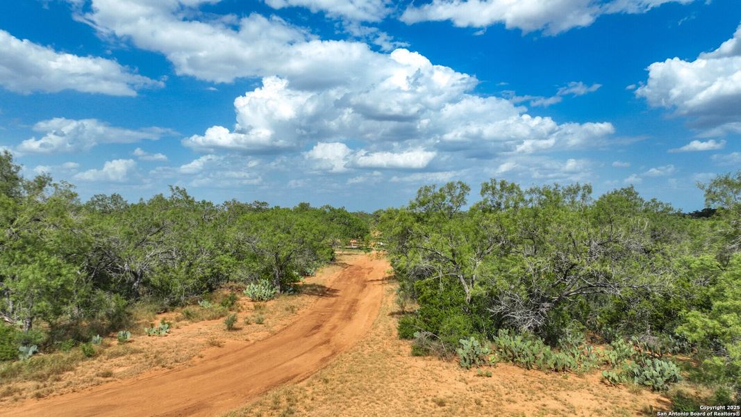 Natural landscape and outdoor views near  in Jourdanton (Image 37).