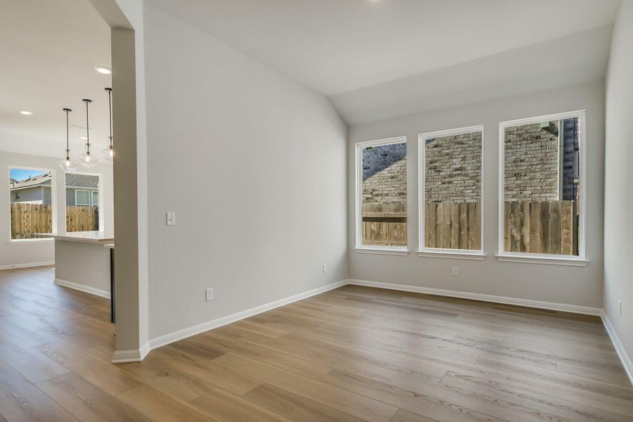 217 Smithsonian Lane Kyle, TX New Home Image 4