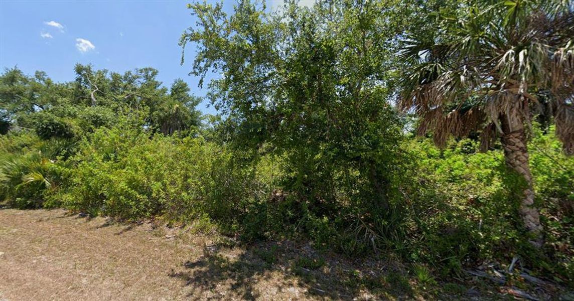Natural landscape and outdoor views near  in Port Charlotte (Image 47).