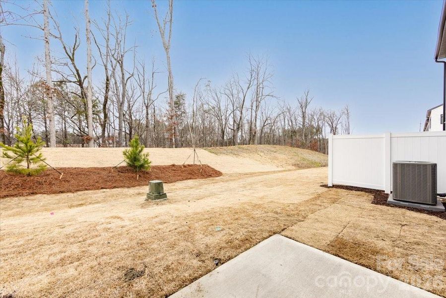 Outdoor living with tree lined views
