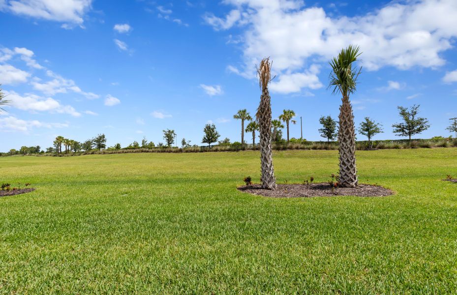 Natural landscape and outdoor views near Del Webb Naples in Ave Maria (Image 13).