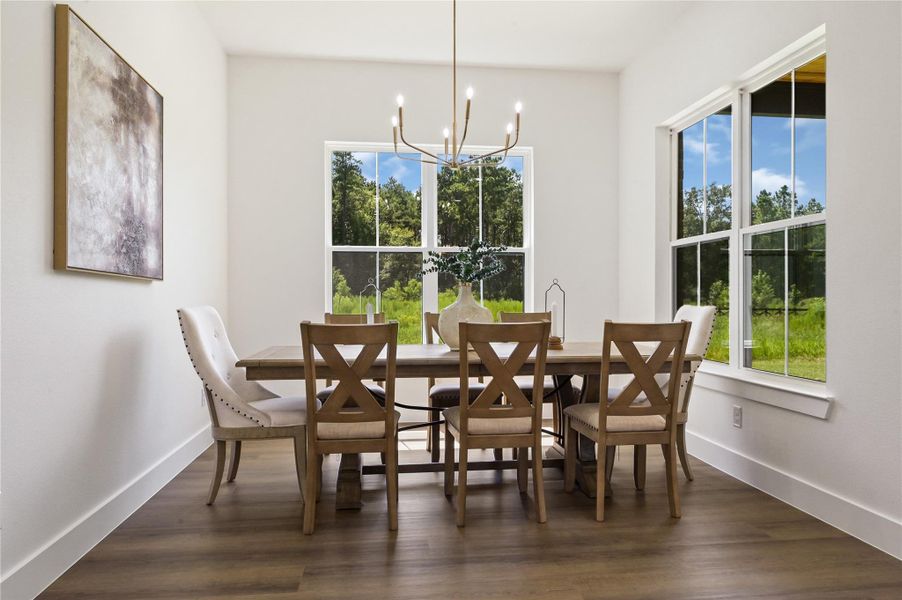 Furnished interior view inside a new home in , Conroe (Image 12). Furnished interior view inside a new home in , Conroe (Image 12).