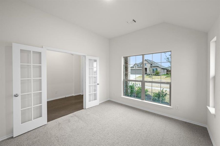 4541 Lyre Leaf- Study (2)