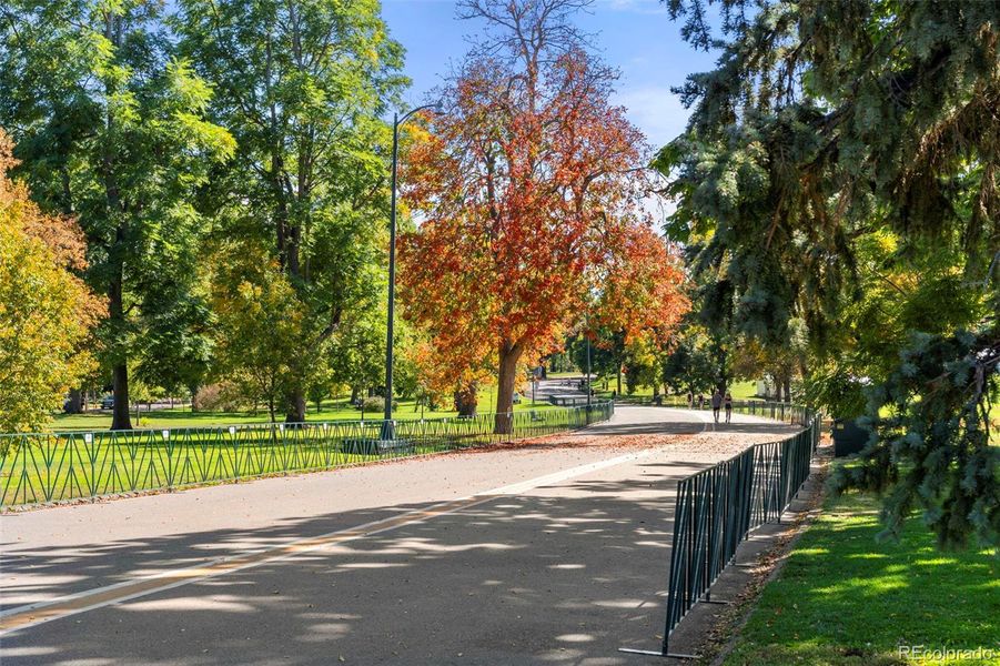 Natural landscape and outdoor views near  in Denver (Image 13).