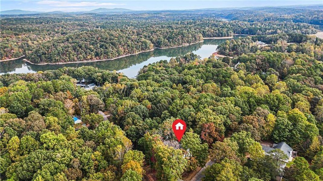Natural landscape and outdoor views near  in Gainesville (Image 41).
