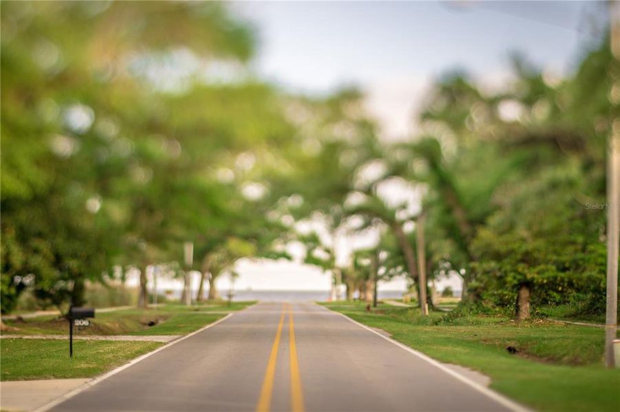 Natural landscape and outdoor views near in Gulfport (Image 49). Natural landscape and outdoor views near in Gulfport (Image 49).