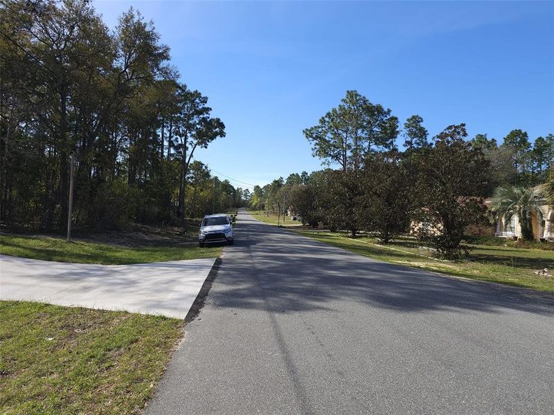 Natural landscape and outdoor views near in Citrus Springs (Image 25). Natural landscape and outdoor views near in Citrus Springs (Image 25).