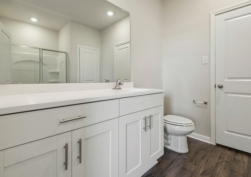 Master bathroom with a large vanity and step-in shower Master bathroom with a large vanity and step-in shower