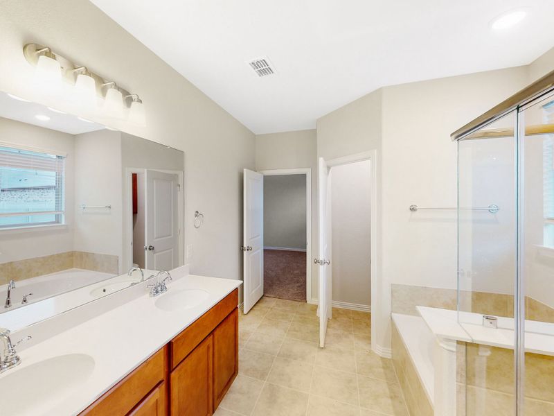Owner's Bathroom