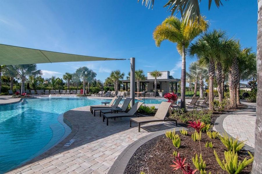 Community amenities in River's Edge, Wesley Chapel (Image 45).