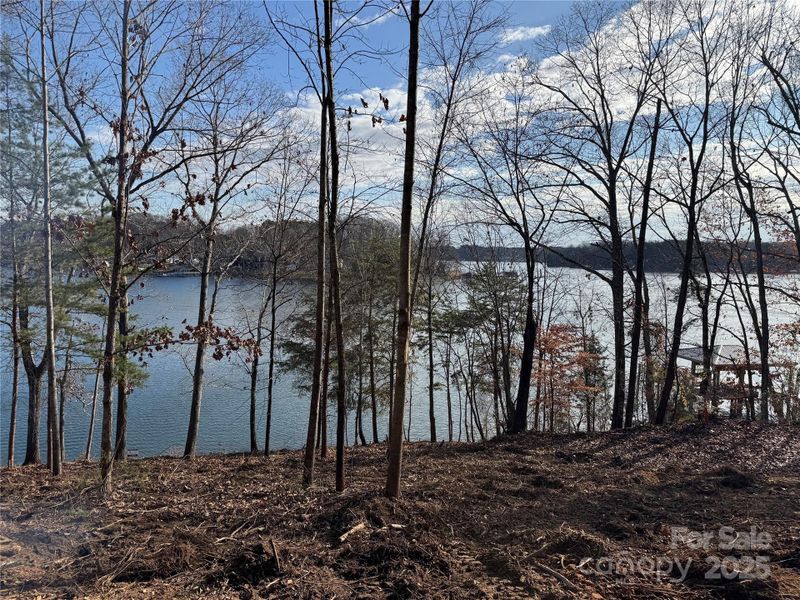 Natural landscape and outdoor views near  in Mooresville (Image 18).