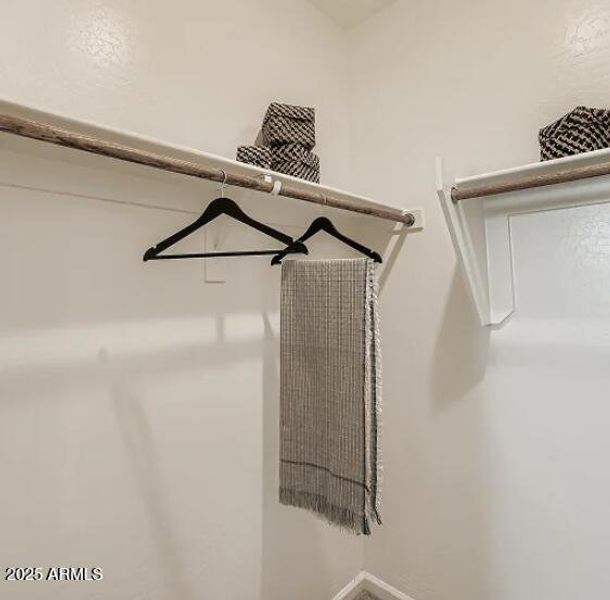 Owners Walk in Closet