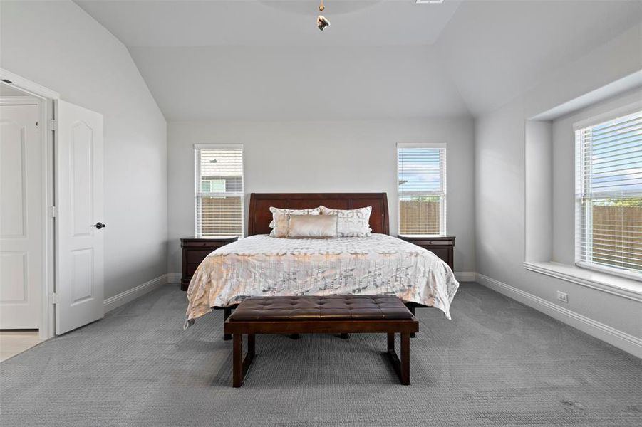 Carpeted bedroom with vaulted ceiling and multiple windows