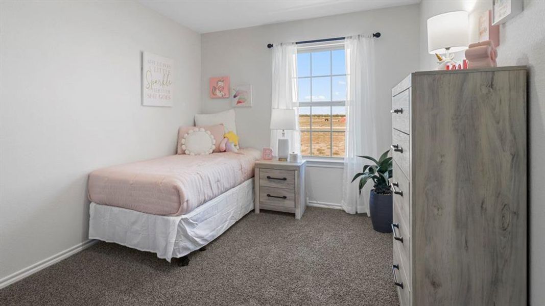 Light-filled room featuring a double-hung window with grid pattern, neutral wall color, and carpeted flooring