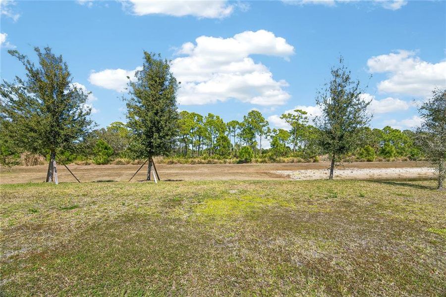 Natural landscape and outdoor views near  in Nokomis (Image 68).