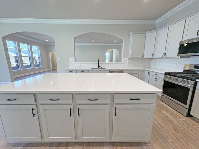 Furnished interior view inside a new home in Longleaf, Lumberton (Image 7).