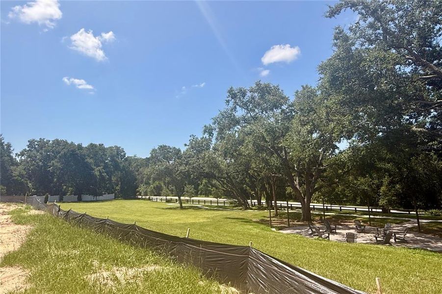 Image 16 of a home in Wolf Lake Ranch.