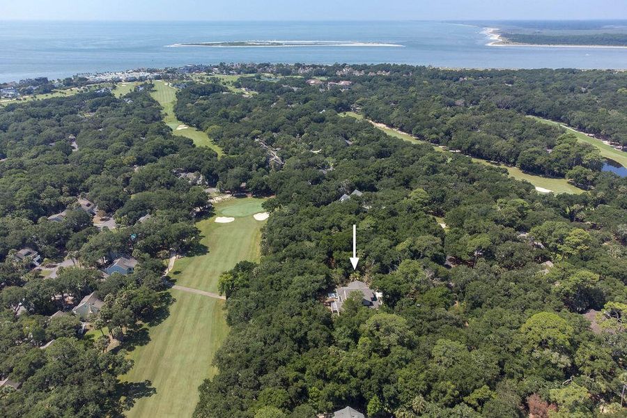 Natural landscape and outdoor views near  in Seabrook Island (Image 101).