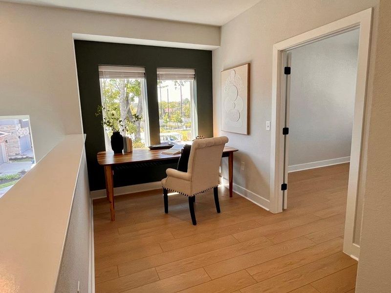 Study (Staged) Study (Staged)