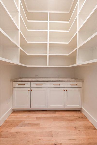 Beautiful walk-in pantry