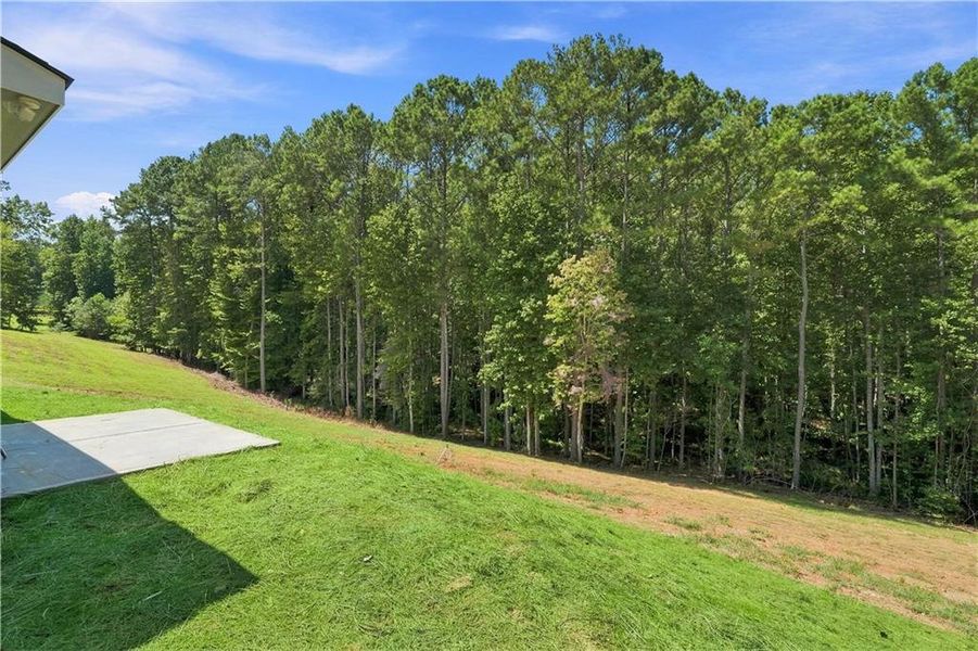 Natural landscape and outdoor views near  in Talking Rock (Image 47).