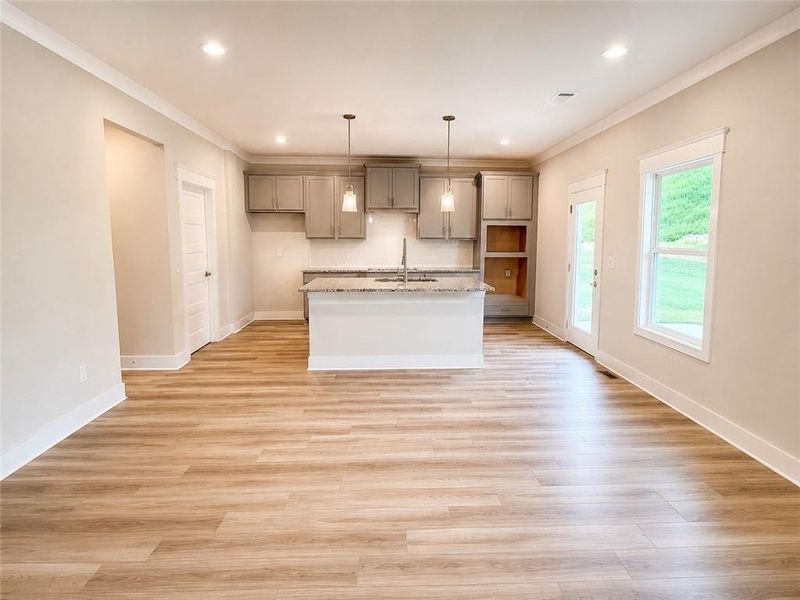 Spacious, unfurnished interior of a new home in Ponderosa Farms Estates, Gainesville (Image 41).