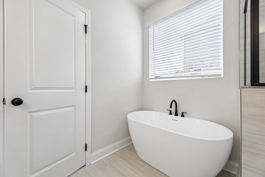 Primary Bathtub