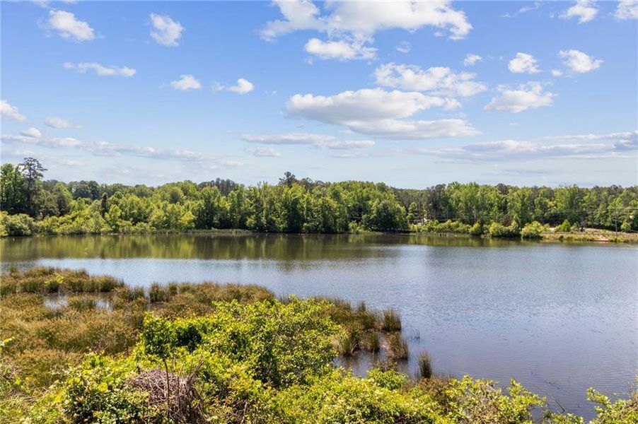 Natural landscape and outdoor views near  in Canton (Image 43).