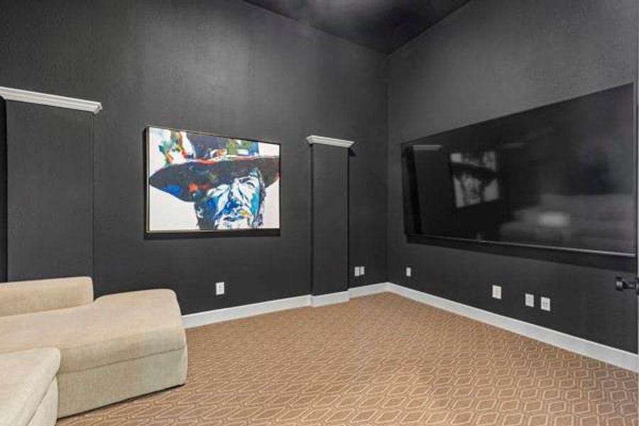 Cinema featuring light carpet and baseboards