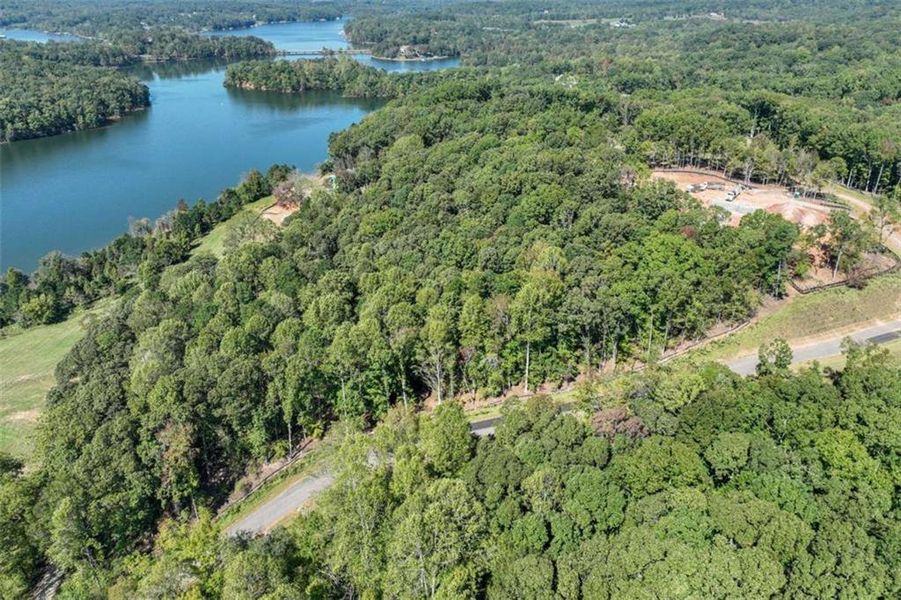 Natural landscape and outdoor views near  in Gainesville (Image 67).