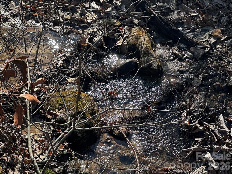 Small creek on the property