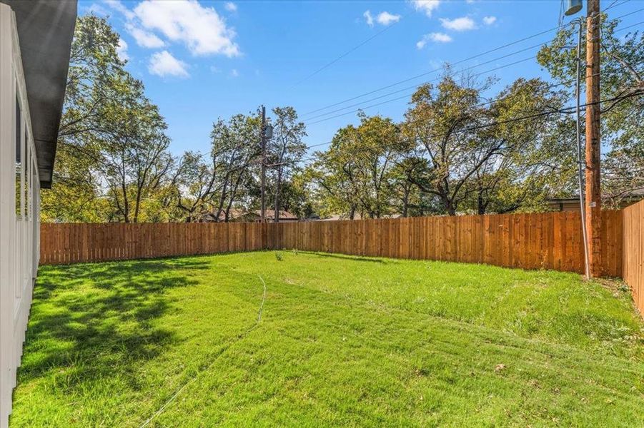 View of fenced backyard