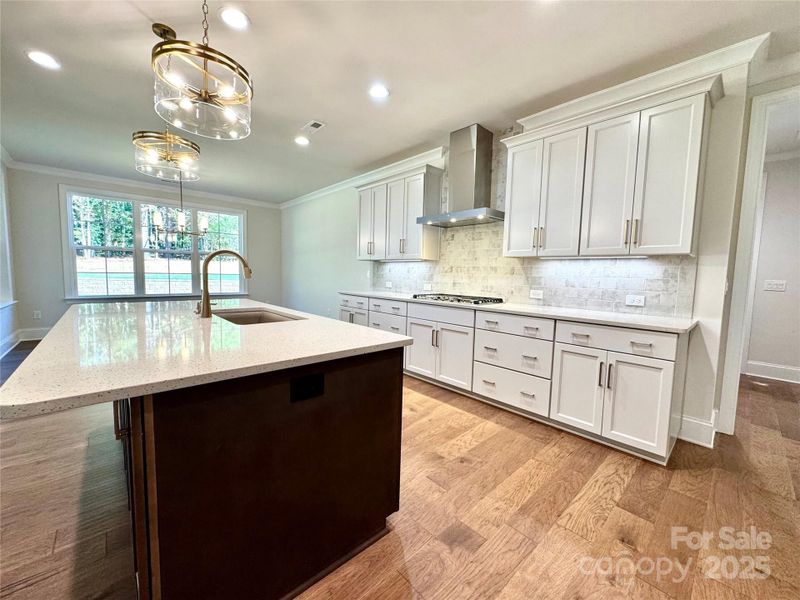 Furnished interior view inside a new home in Saddlehorn, Troutman (Image 7).