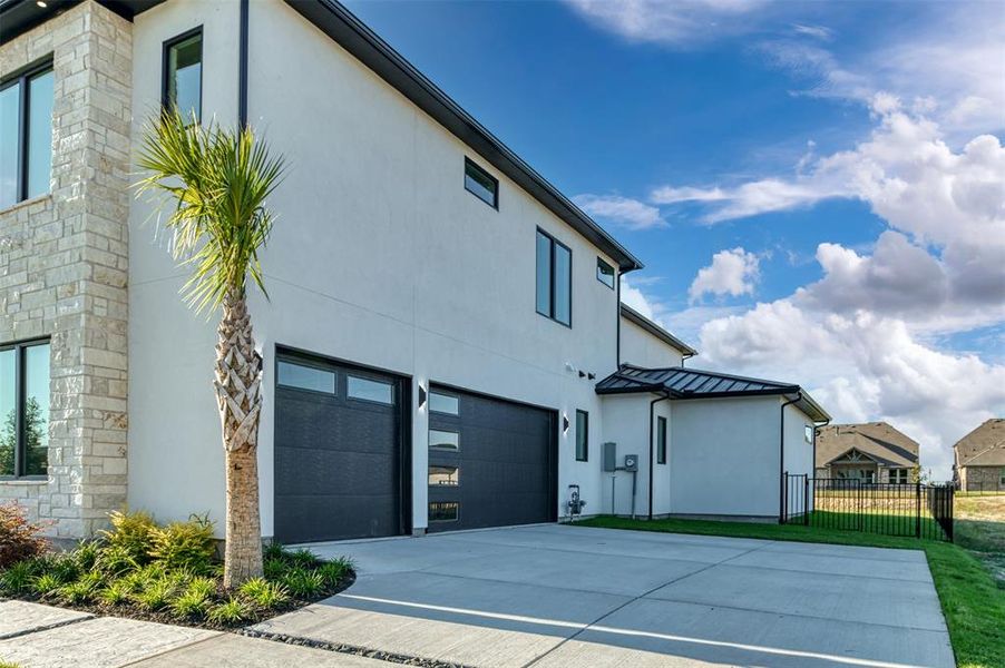 see Palm Trees see Palm Trees