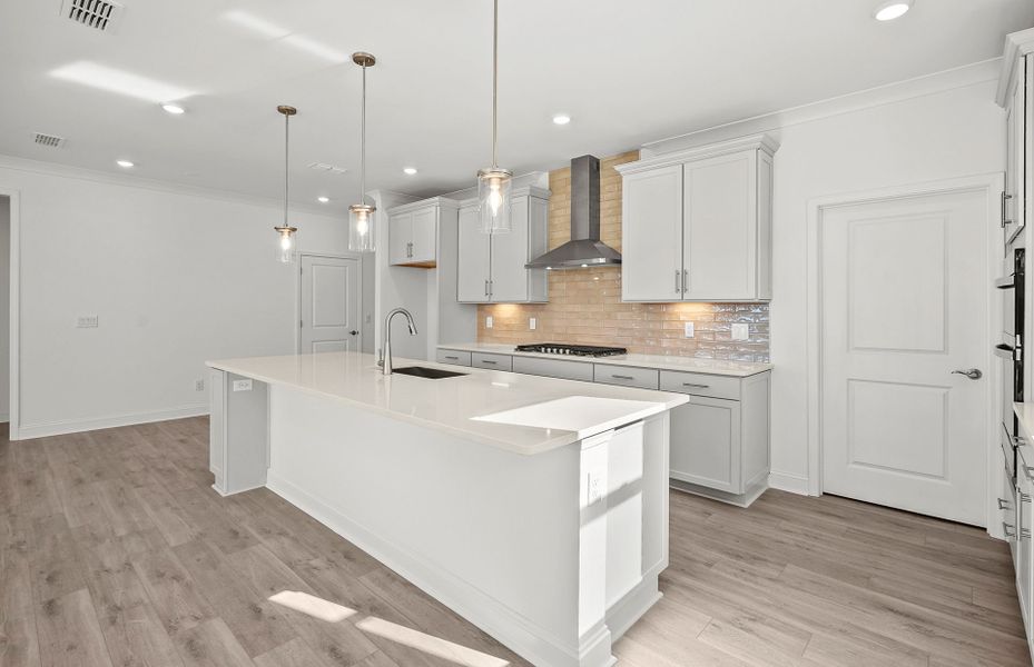 Furnished interior view inside a new home in Carolina Riverside, Belmont (Image 8).