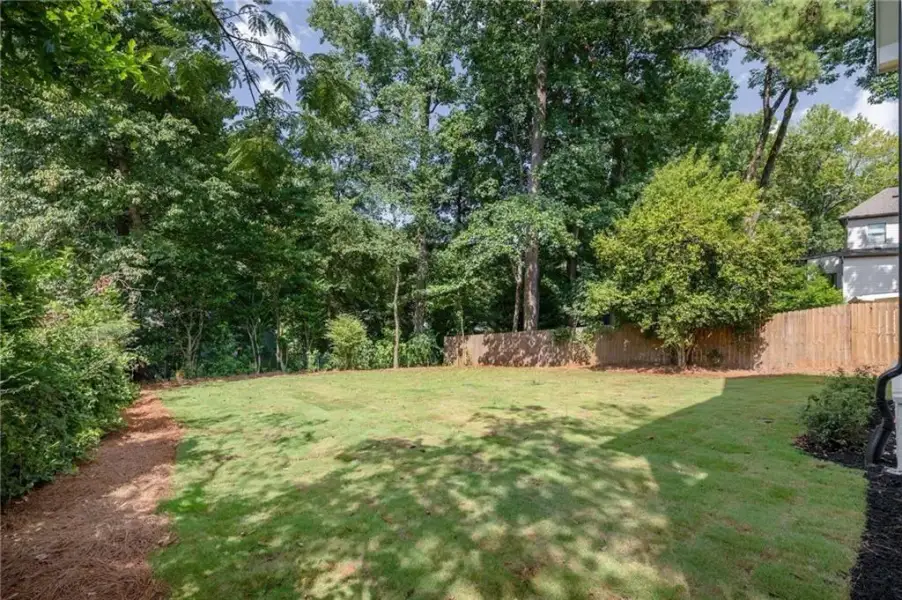 Natural landscape and outdoor views near  in Atlanta (Image 42).