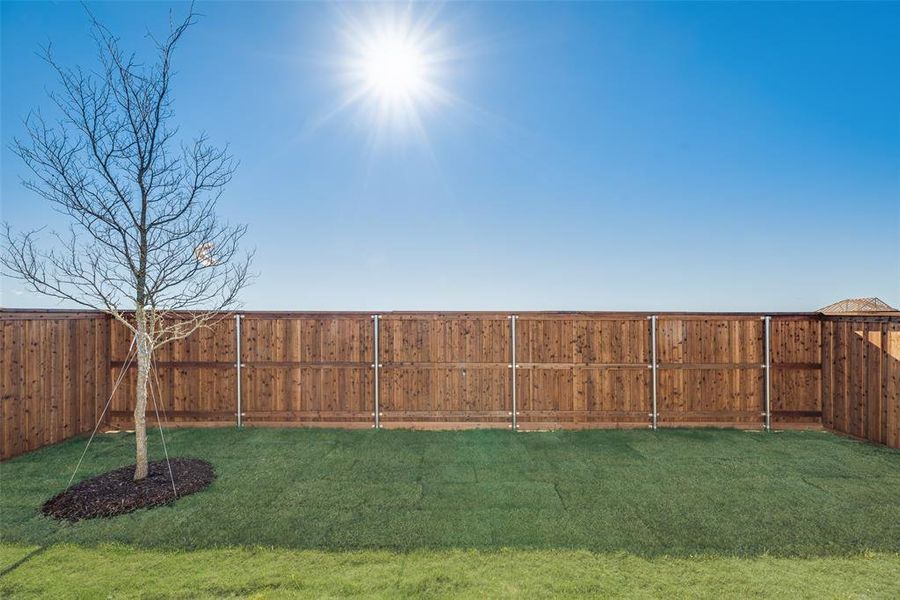 Exterior details and patio area of a home in Spiritas Ranch, Little Elm (Image 4).