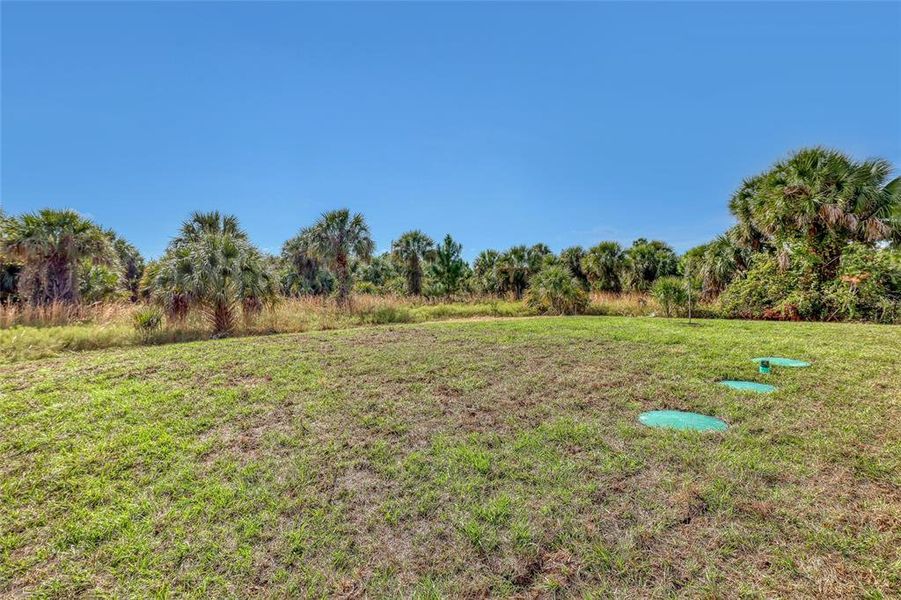 Natural landscape and outdoor views near  in Palm Bay (Image 42).