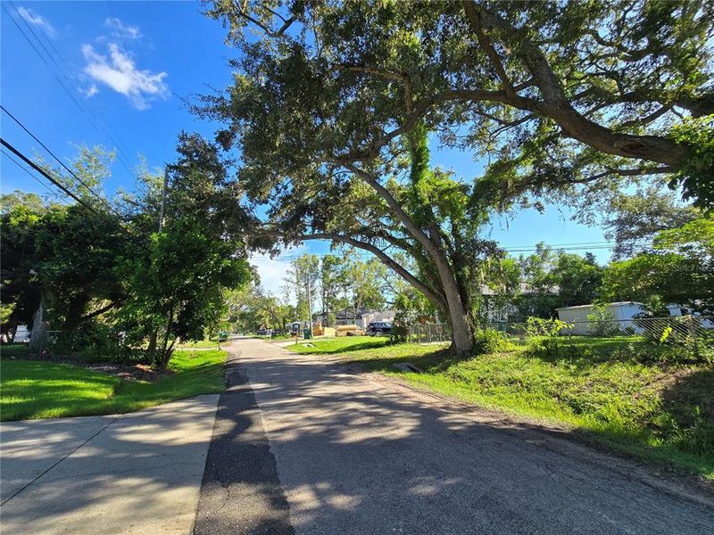 Natural landscape and outdoor views near in Clearwater (Image 29). Natural landscape and outdoor views near in Clearwater (Image 29).