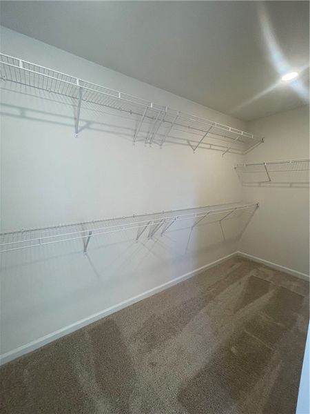 Spacious, unfurnished interior of a new home in Springwood Grove, Central (Image 37).