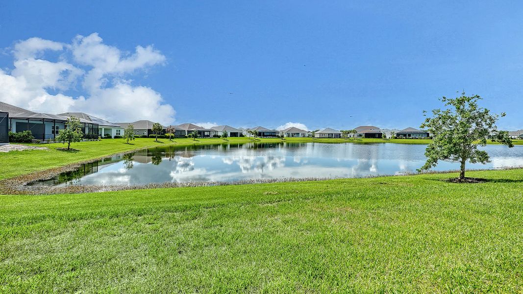 Natural landscape and outdoor views near Canoe Creek Real Estate and Homes for Sale in Parrish, FL - Neal Communities in Parrish (Image 47). Natural landscape and outdoor views near Canoe Creek Real Estate and Homes for Sale in Parrish, FL - Neal Communities in Parrish (Image 47).