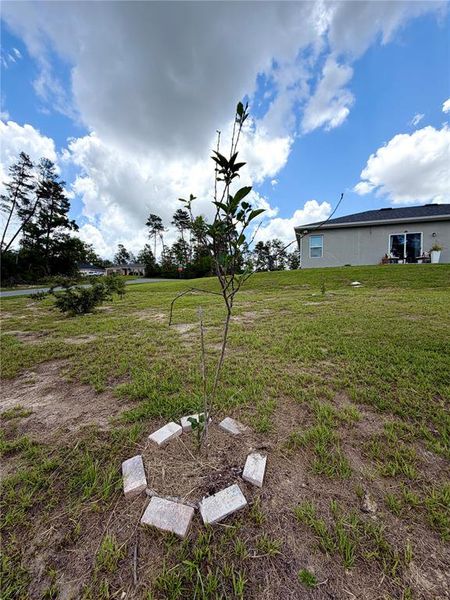 Natural landscape and outdoor views near  in Ocala (Image 21).