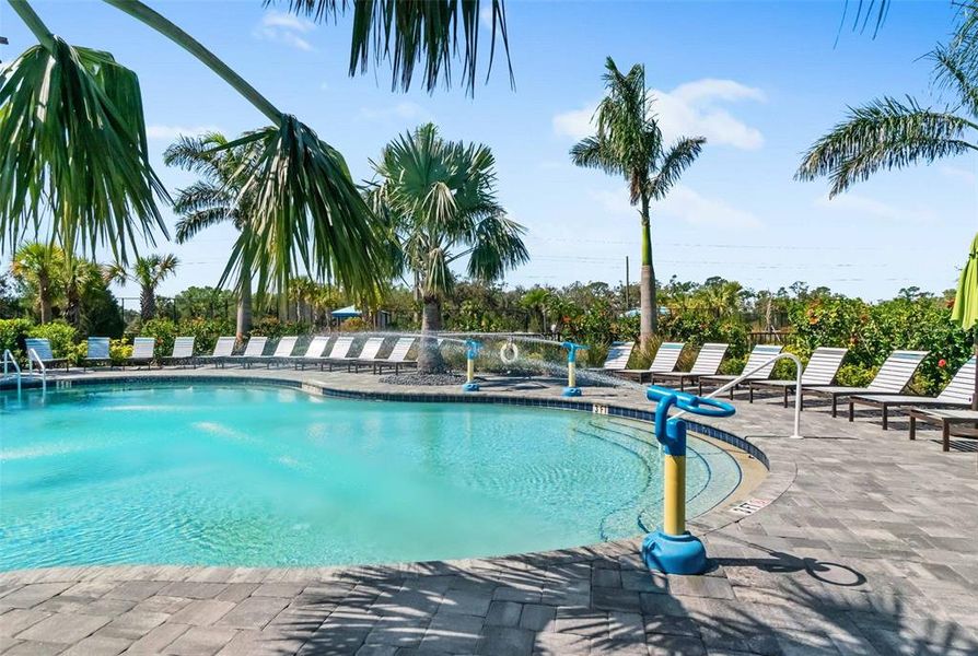 Community amenities in , Sarasota (Image 56).