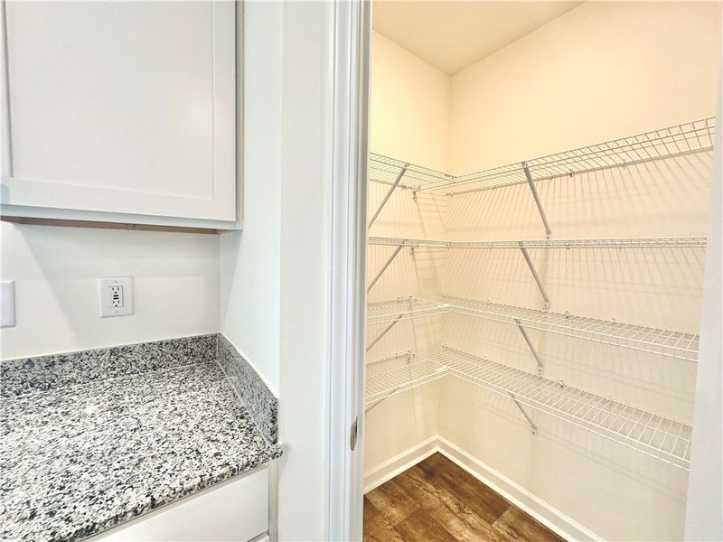 *Photo is from similar Palomino. Actual pics will