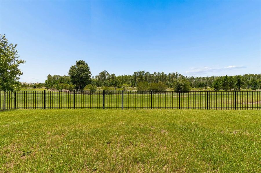Natural landscape and outdoor views near Deerbrook in Land O' Lakes (Image 73).