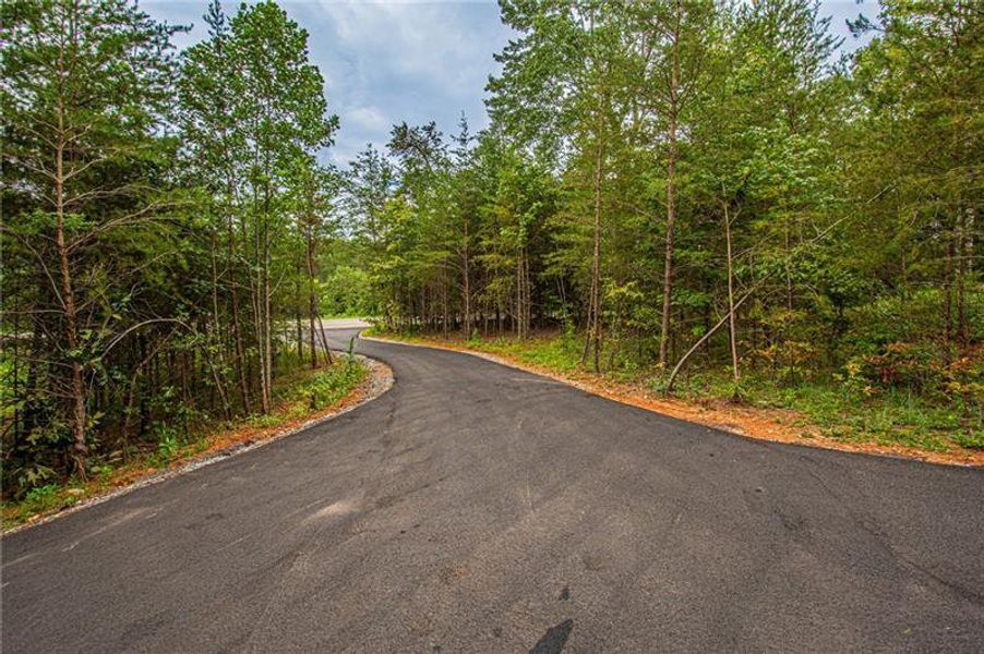Natural landscape and outdoor views near  in Dahlonega (Image 16).