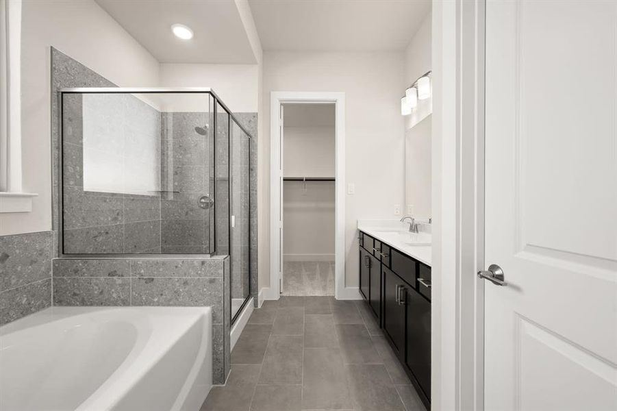 Discovery Collection at Bridgewater