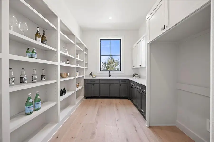 Storage area featuring a sink