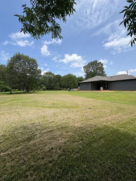 Lovely yard ready for the family